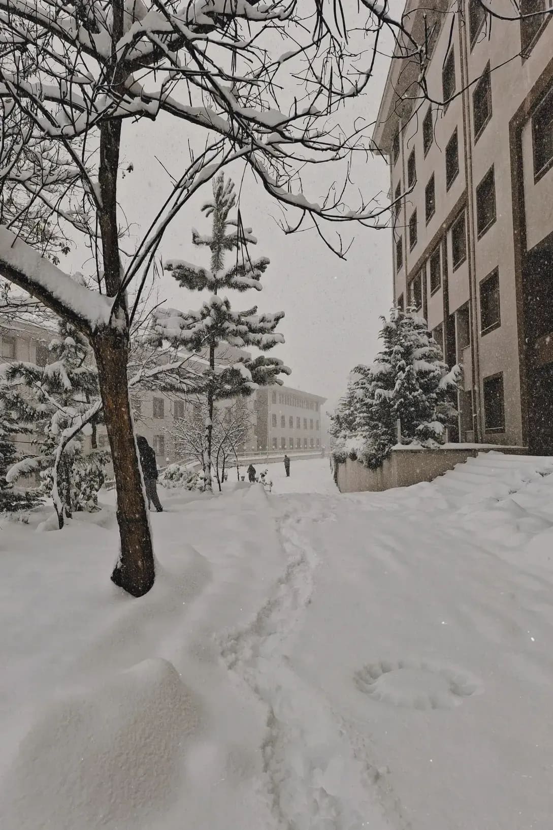 Sapporo Snow Japanese School 2